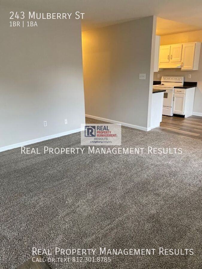 243 Mulberry St - Photo 3 of 13