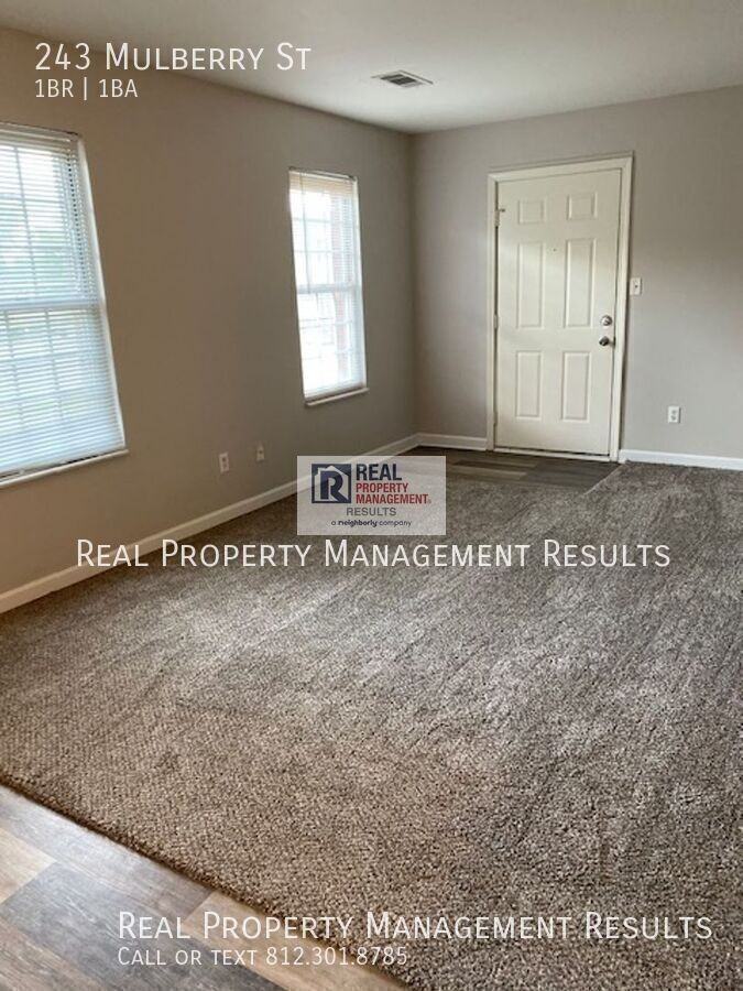 243 Mulberry St - Photo 4 of 13