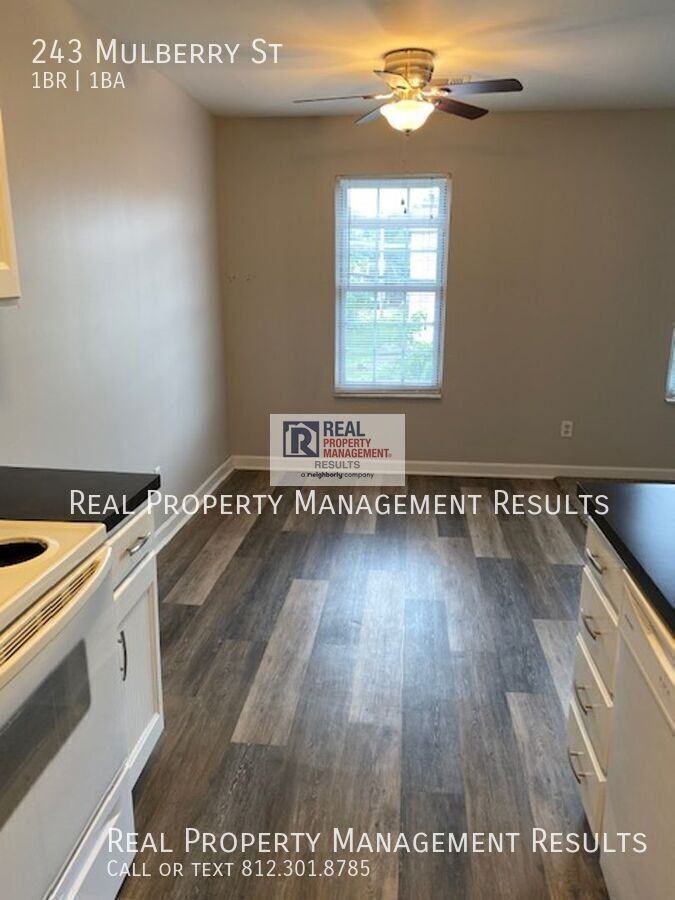 243 Mulberry St - Photo 6 of 13