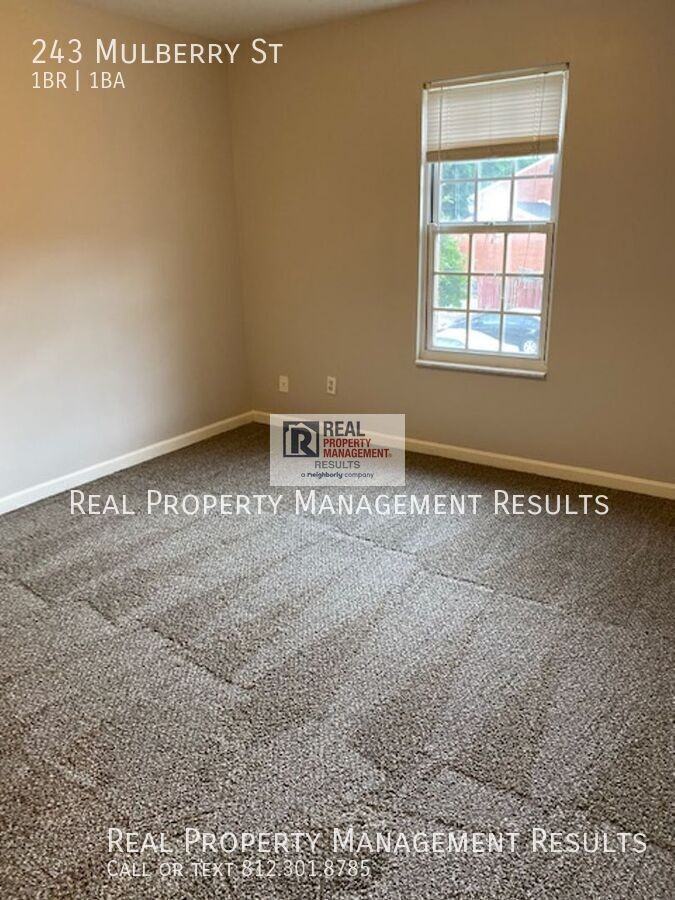 243 Mulberry St - Photo 7 of 13