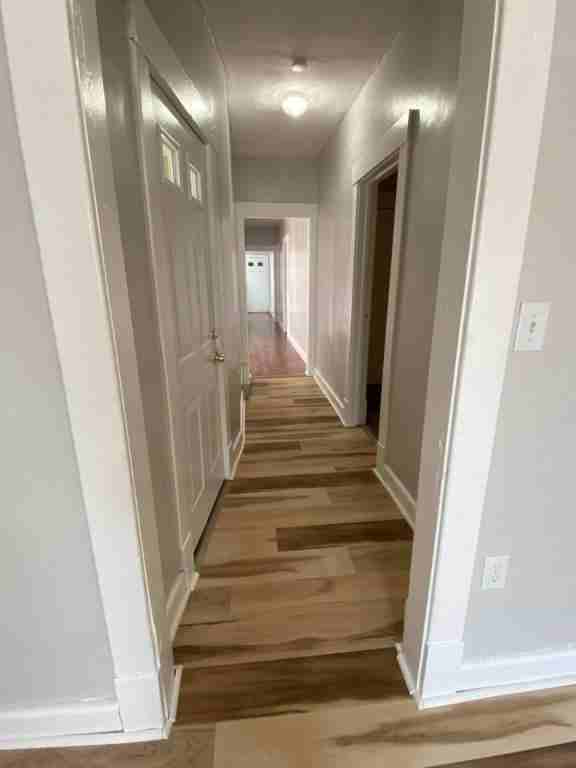 273 E Clark St #3 - Photo 3 of 19
