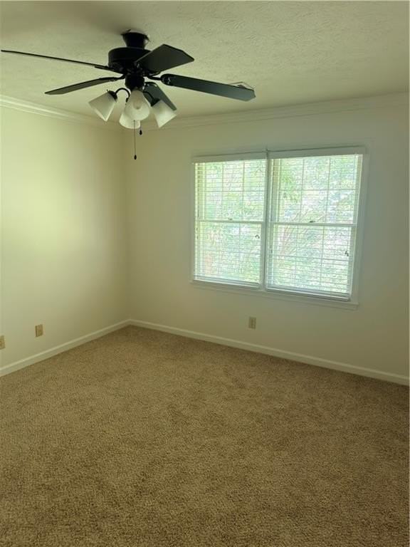477 Patterson Rd - Photo 2 of 23