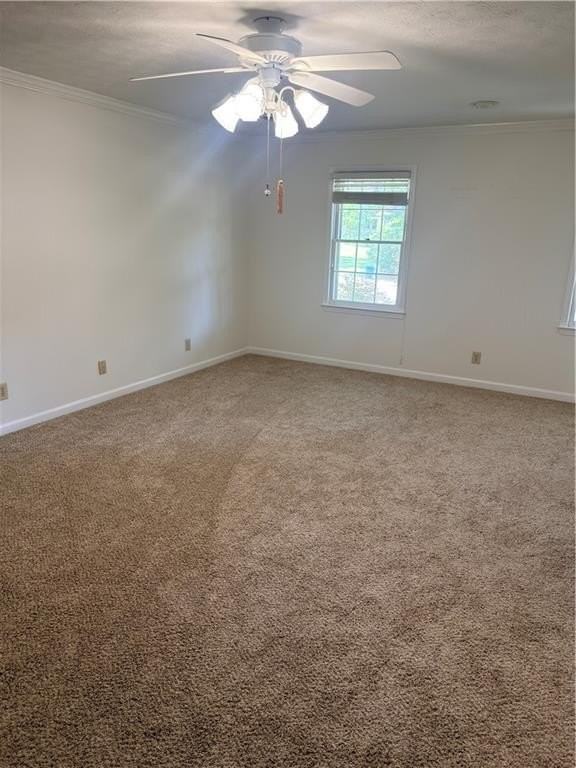 477 Patterson Rd - Photo 4 of 23
