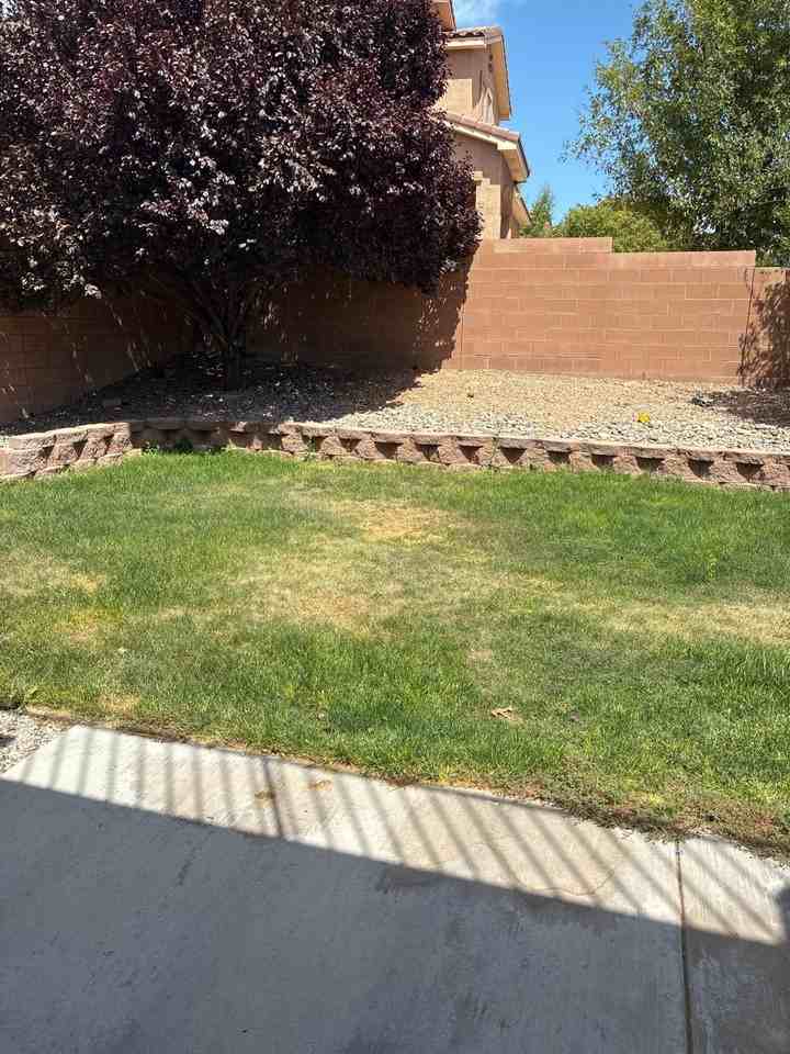2217 Violeta Cir Se - Photo 4 of 11