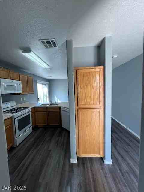 9981 Fine Fern St - Photo 4 of 22