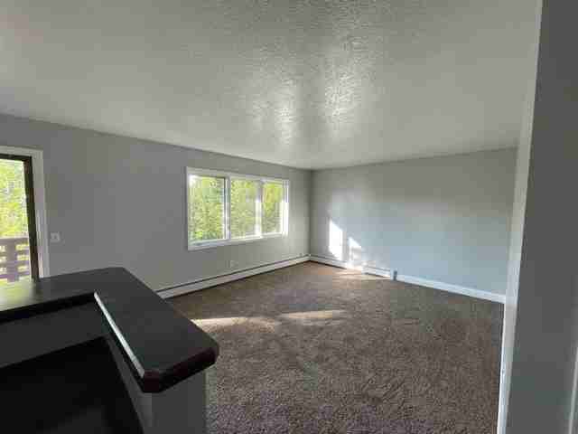 1400 E Mulchatna Dr #1 - Photo 4 of 20