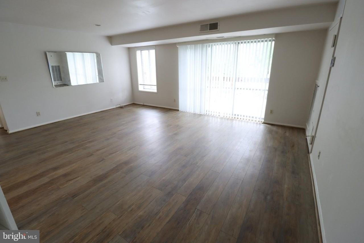 10850 Green Mountain Cir - Photo 5 of 19