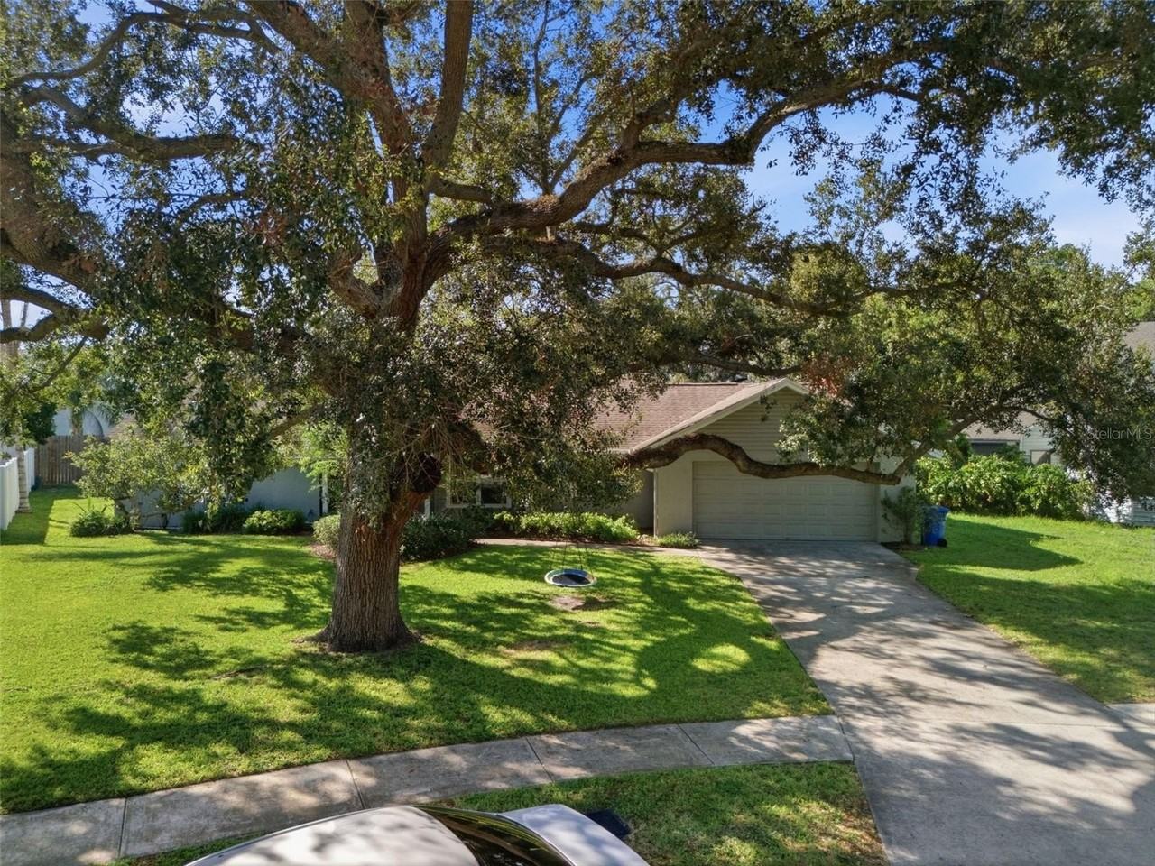 13536 Lake Magdalene Dr - Photo 5 of 50