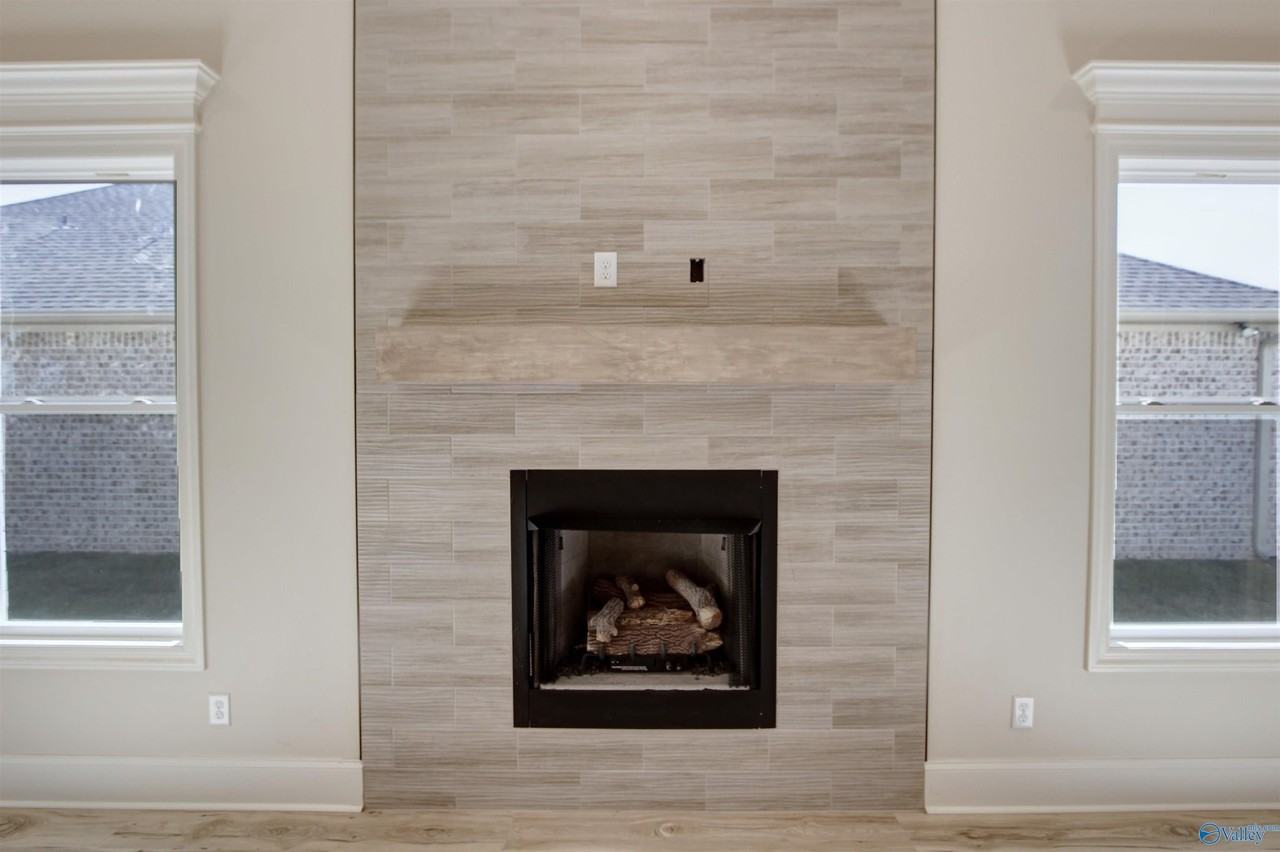 12378 Narayan St Lot 66 - Photo 4 of 42
