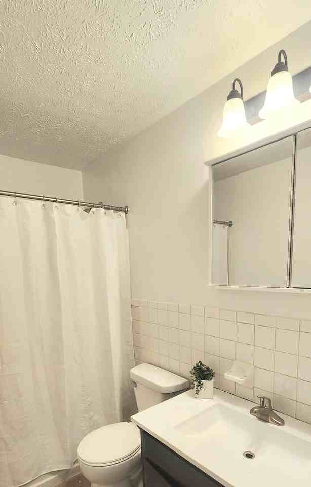 227 Ash St #227 - Photo 5 of 12