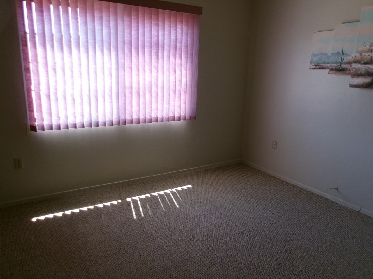 3848 S Camino Del Golfista - Photo 5 of 8