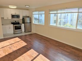 211 Cornwall St #7 - Photo 1 of 1