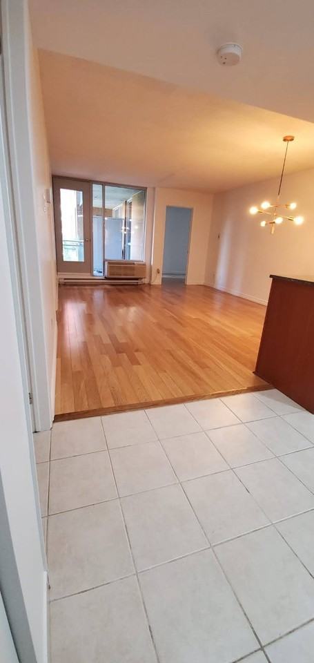 88 Charlotte Street ##301 - Photo 3 of 13