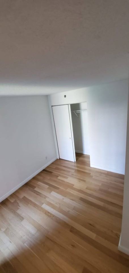 88 Charlotte Street ##301 - Photo 6 of 13