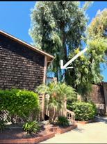 1002 Cabrillo Park Dr #G - Photo 1 of 1