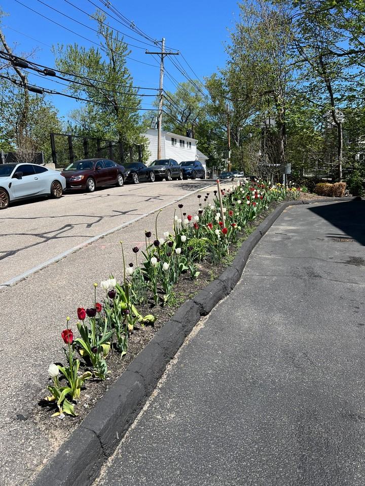 10 Cochituate St - Photo 4 of 14