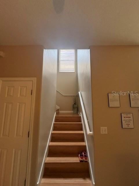 6547 Black Mangrove Dr - Photo 7 of 15