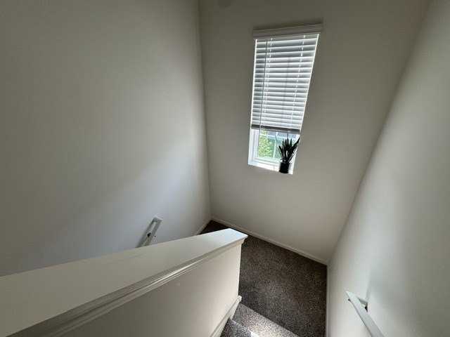 1039 Briar Glen Ct - Photo 6 of 16