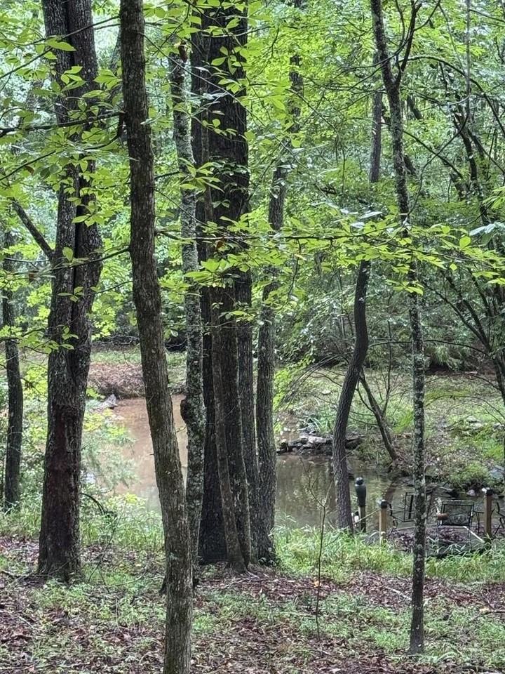 493 Harper Valley Rd - Photo 4 of 23