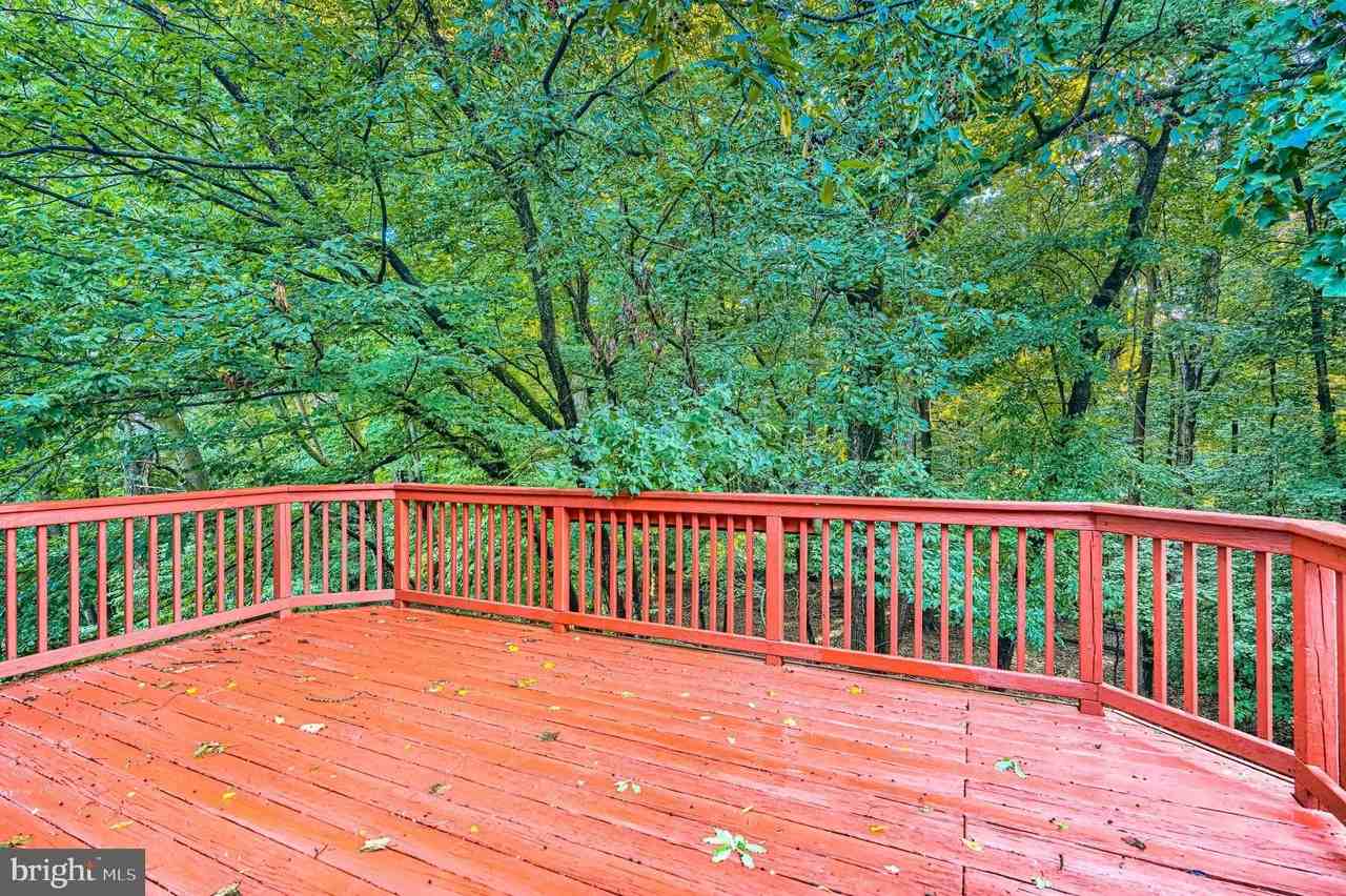 8 Lambeth Bridge Ct - Photo 2 of 28