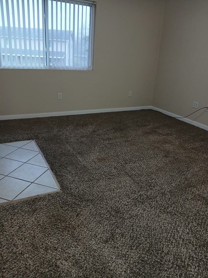 1100 Briarwood Rd Apt 4 #4 - Photo 3 of 21