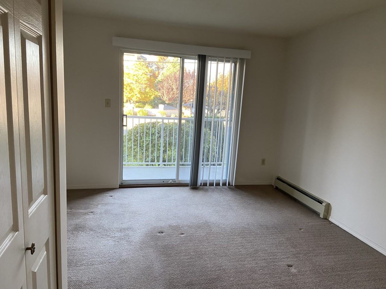 33388 Mayfair Avenue #209 - Photo 5 of 10
