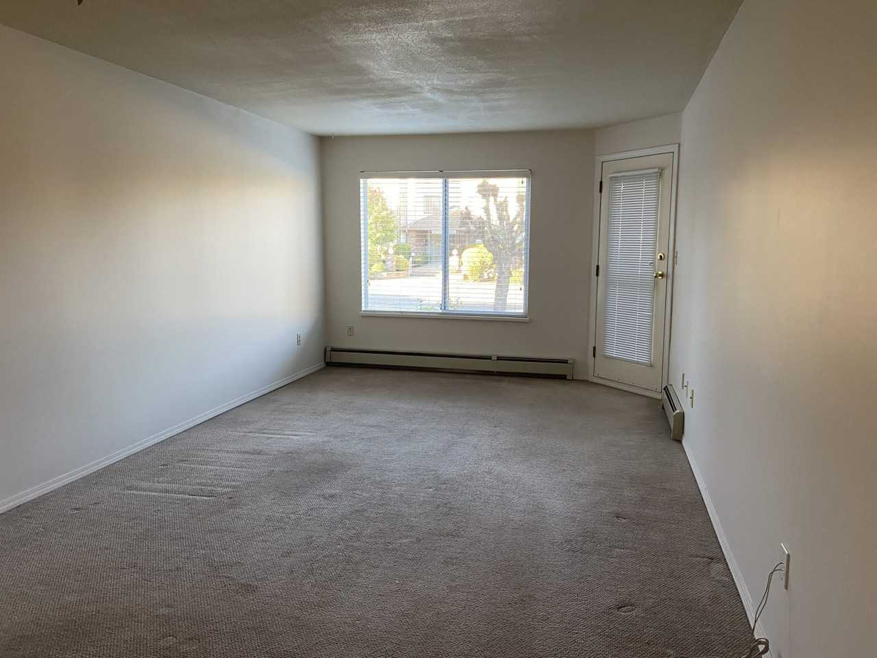 33388 Mayfair Avenue #209 - Photo 6 of 10