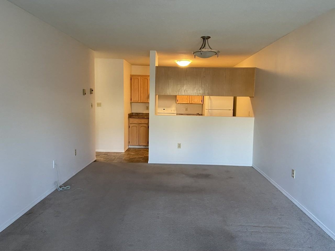 33388 Mayfair Avenue #209 - Photo 3 of 10