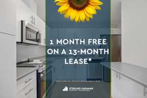 featured image of 396 Queens Ave