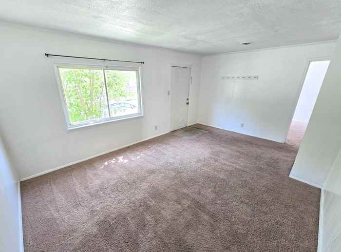 13 Ireland St - Photo 2 of 16