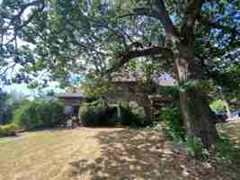 featured image of 700 N Anna Pl