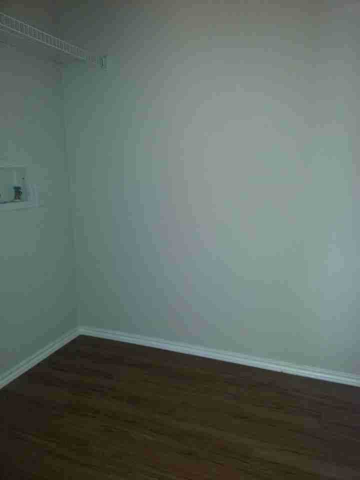 10565 Flagstaff Run - Photo 7 of 16