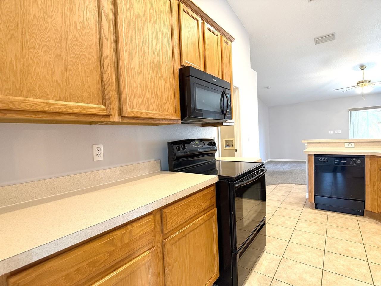310 White Ibis Ln - Photo 5 of 32