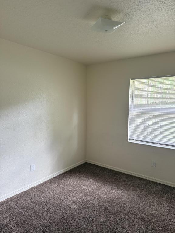 5525 Wendy Lee Dr - Photo 2 of 12