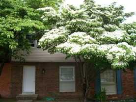 3921 Breezy Ct - Photo 1 of 1