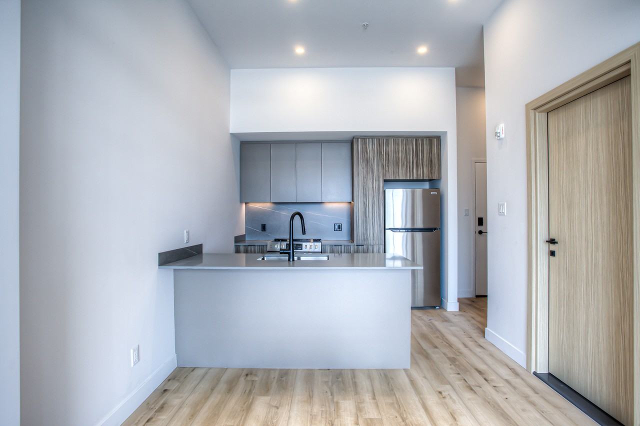 439 Av Thérèse-Lavoie-Roux — photo 1