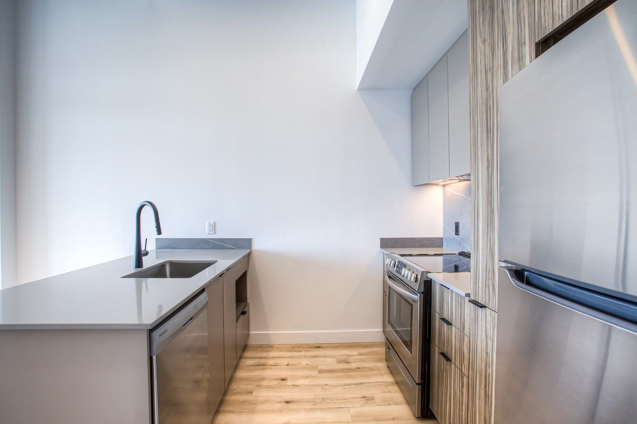 439 Av Thérèse-Lavoie-Roux — photo 2