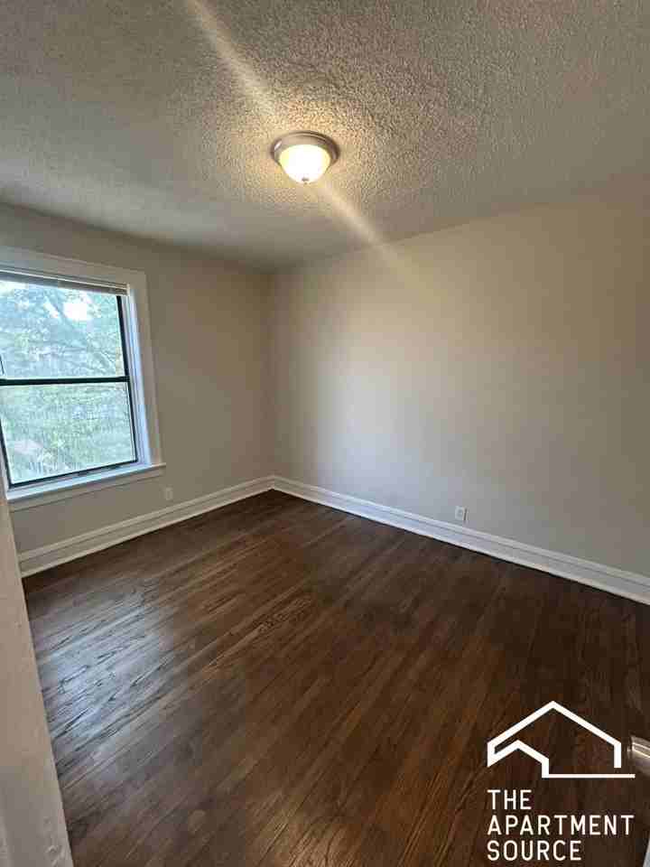 6959 S Paxton Ave #3A - Photo 7 of 12