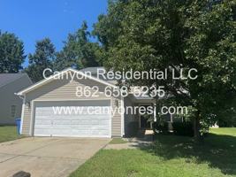 featured image of 223 Julian Pond Ln