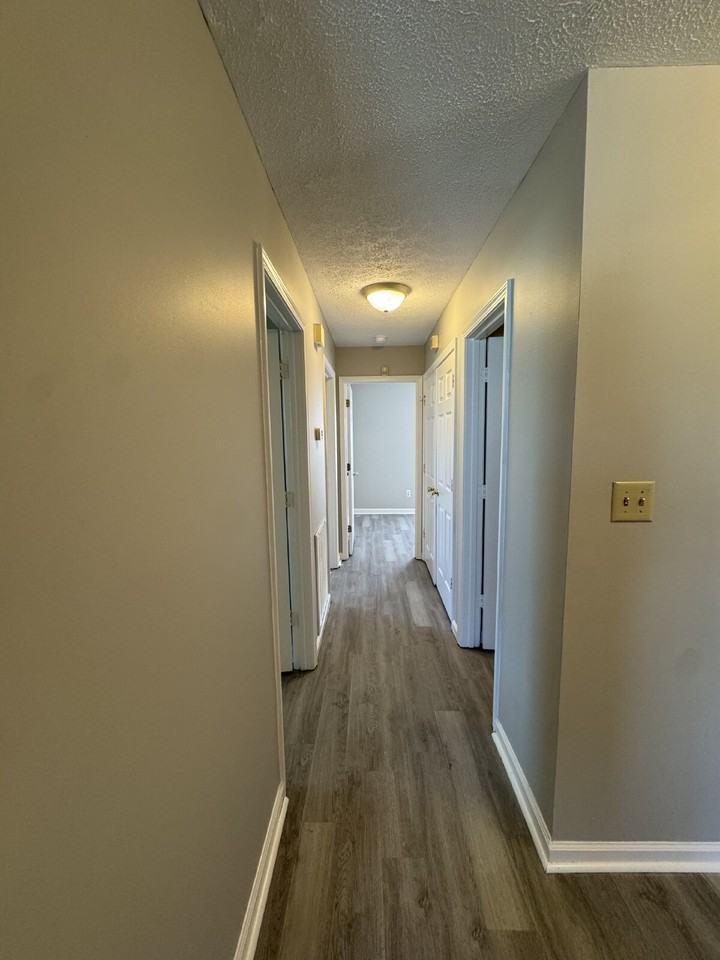 405 Eddy St - Photo 7 of 20