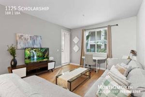 featured image of 1125 Scholarship