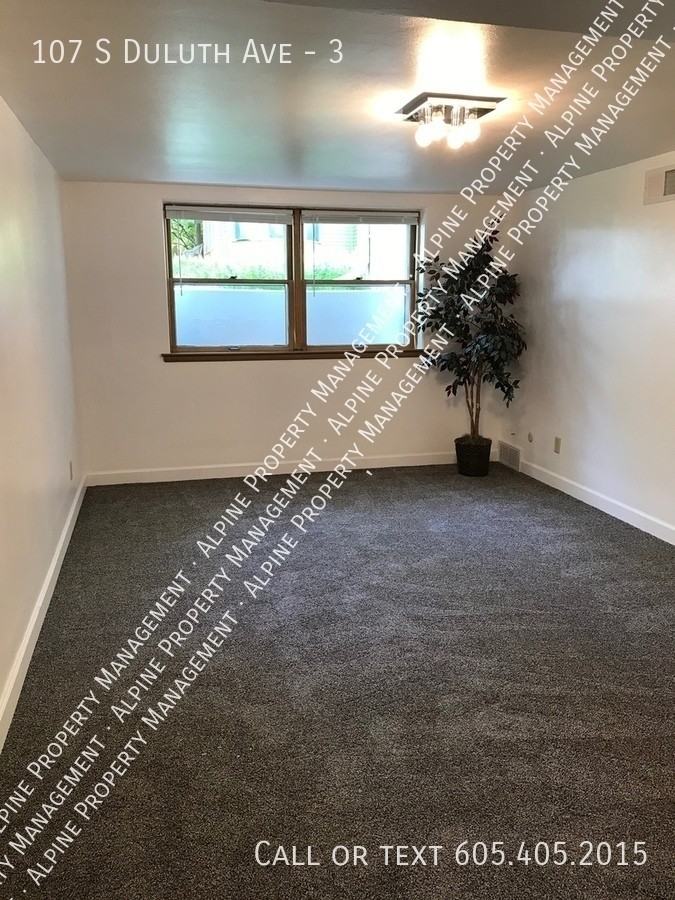 107 S Duluth Ave #3 - Photo 5 of 16
