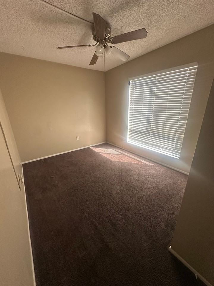6012 Almendra Ave - Photo 7 of 14