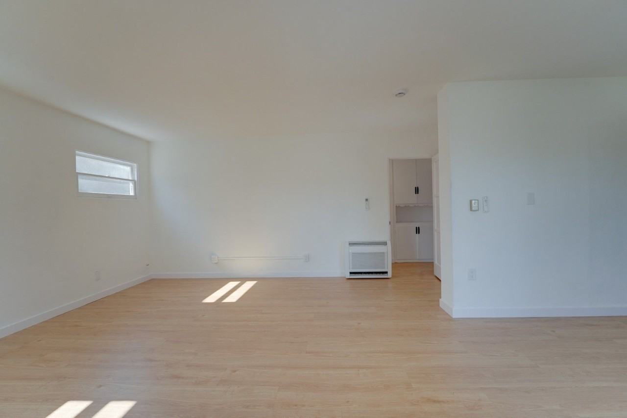1344 Diamond St - Photo 3 of 50