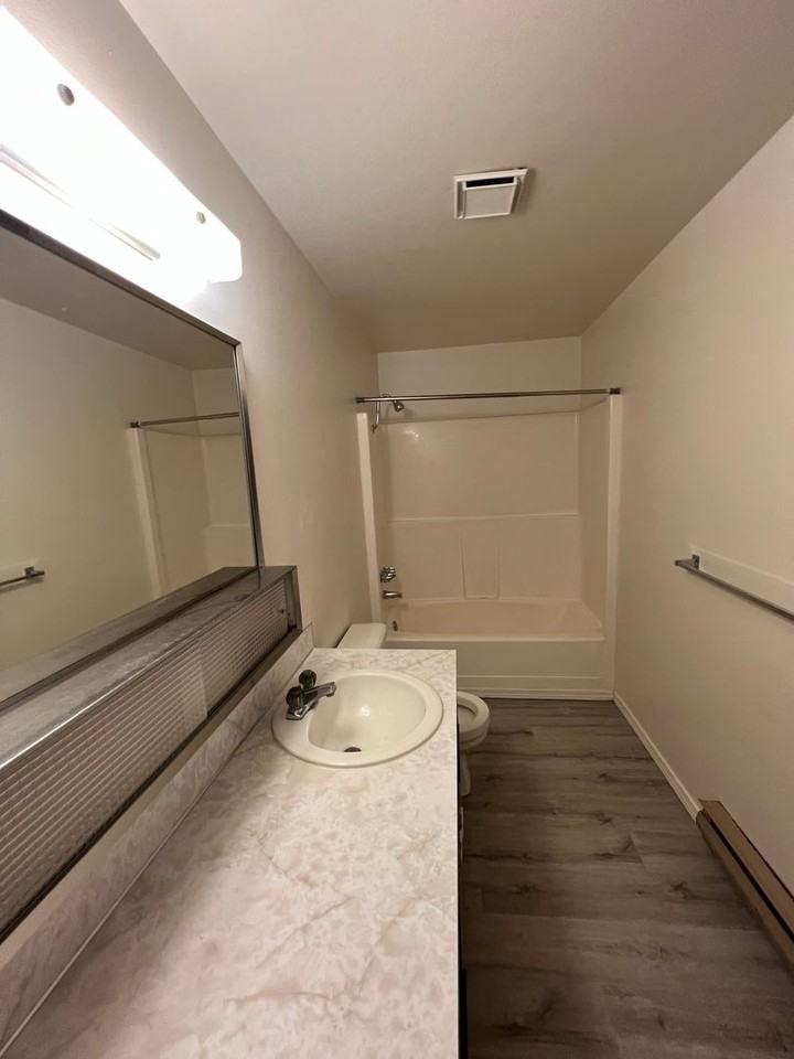 4804 Bonnie Ln - Photo 5 of 10