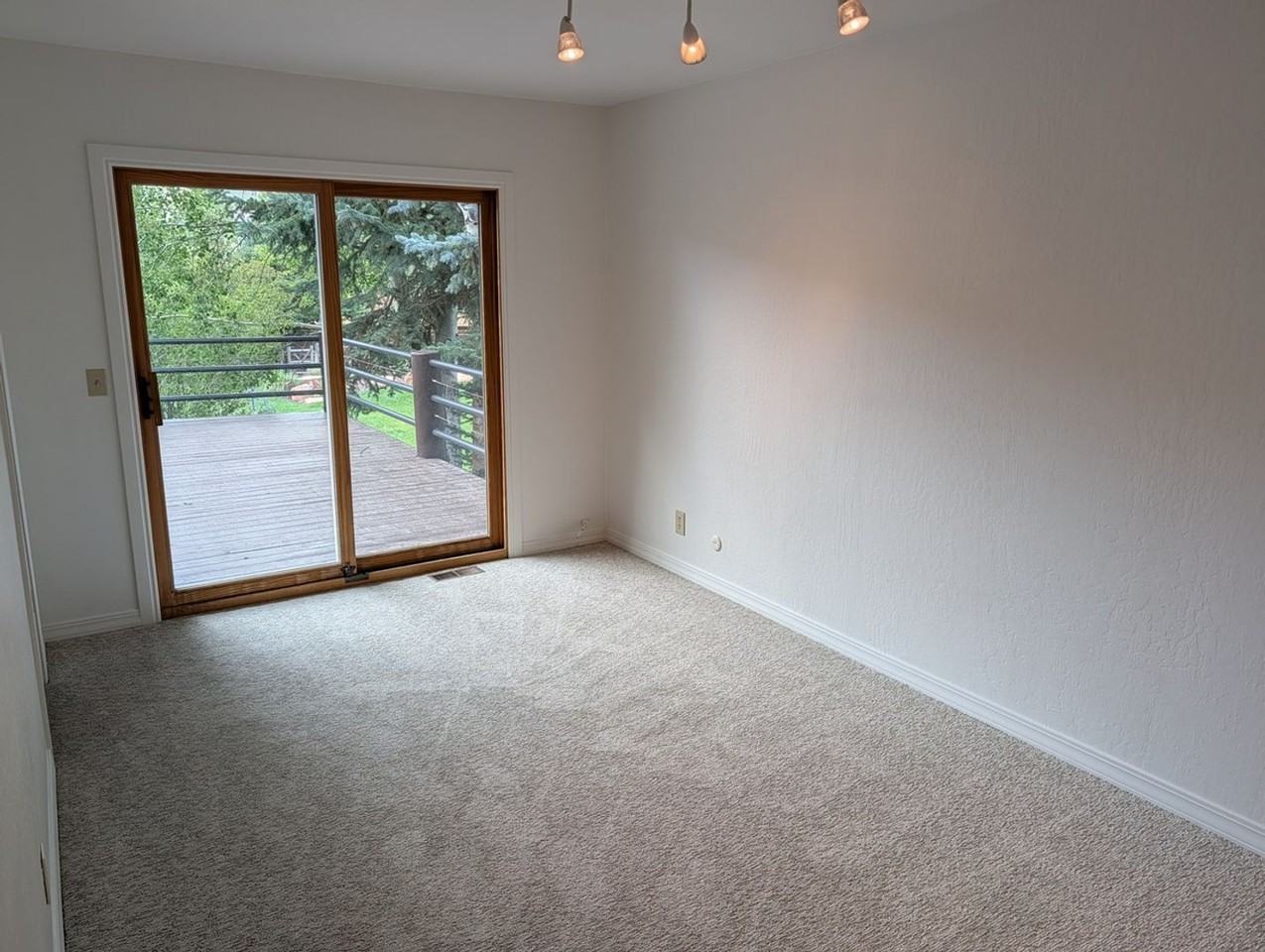 2833 Hackney Ct - Photo 6 of 14