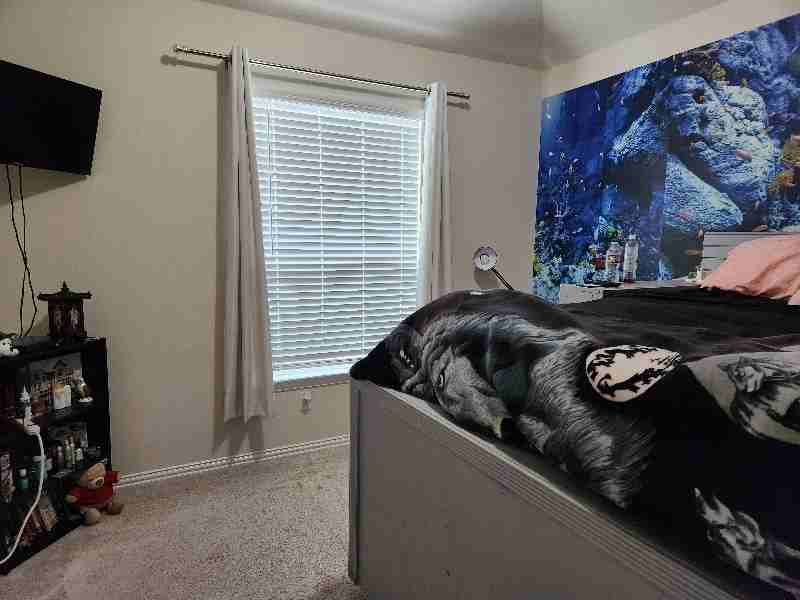 24663 Lakecrest Pine Trl - Photo 7 of 12