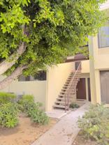 1655 E Palm Canyon Dr #307 - Photo 1 of 1