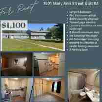 1901 Mary Ann St #8 - Photo 1 of 1