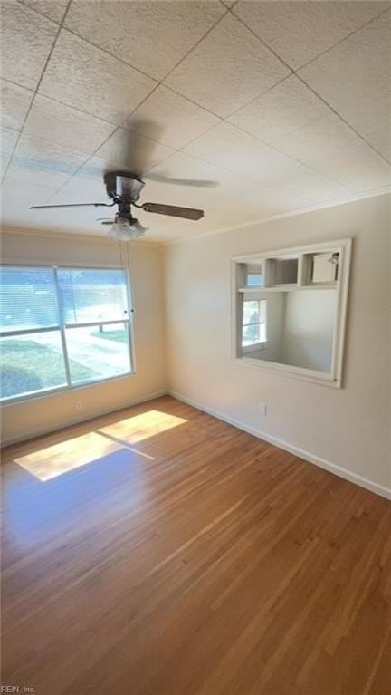 10 Excalibur Pl - Photo 3 of 9